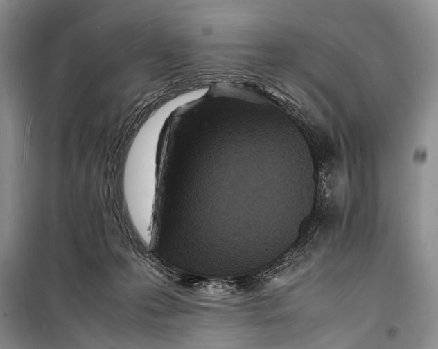 X0000098180223200805151148