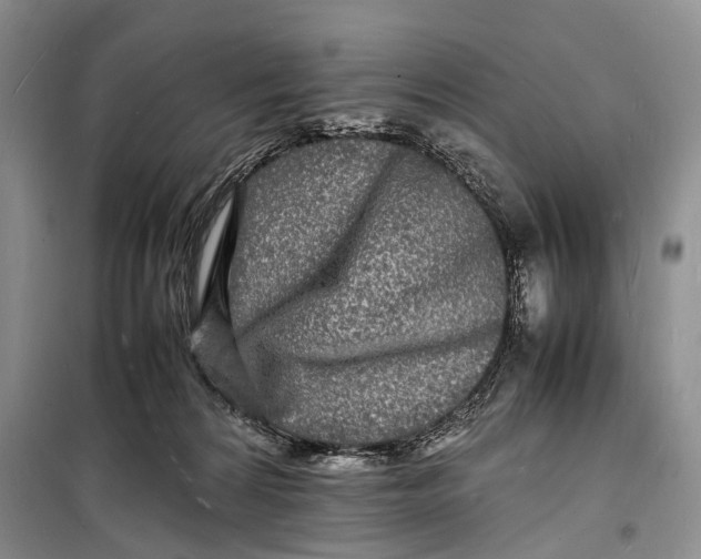 X0000098180224200805151148