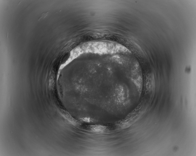 X0000098180226200805151148