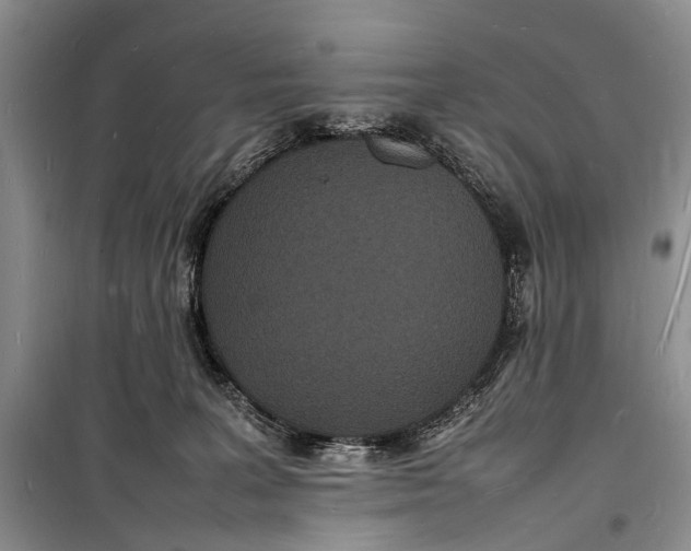 X0000098180227200805151148