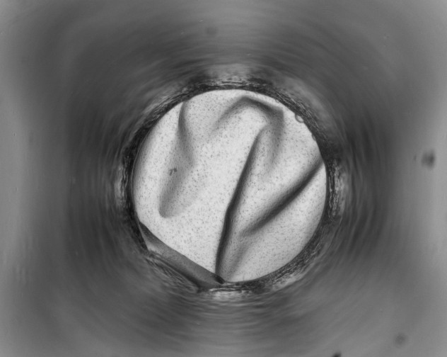 X0000098180228200805151148