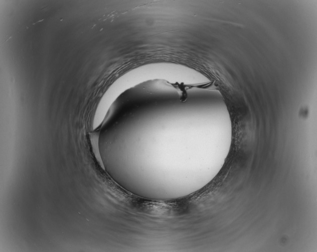 X0000098180229200805151148