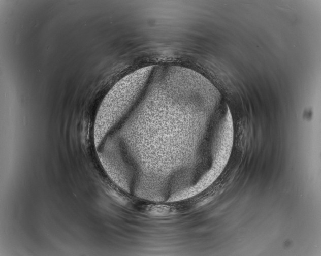 X0000098180230200805151148