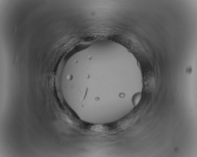 X0000098180231200805151148