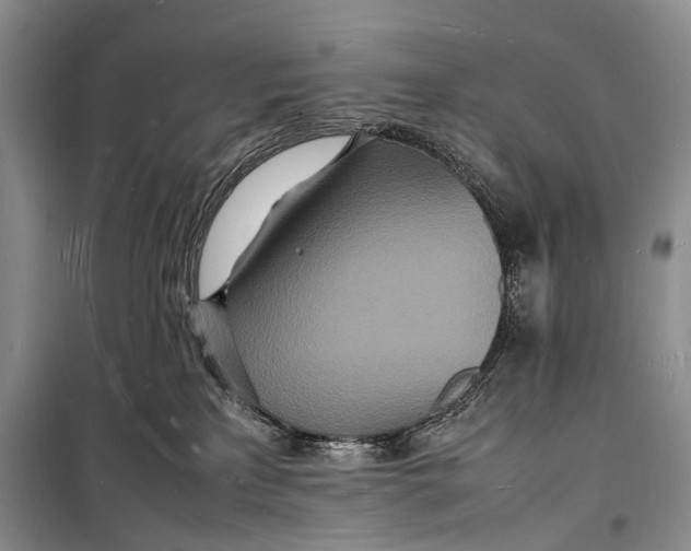 X0000098180233200805151148