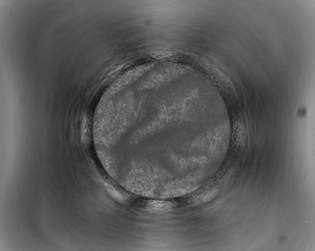 X0000098180234200805151148