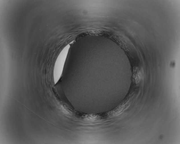 X0000098180235200805151148