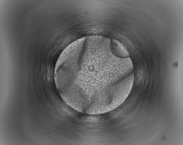 X0000098180236200805151148