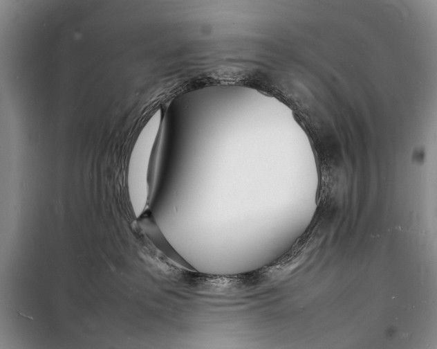 X0000098180237200805151148