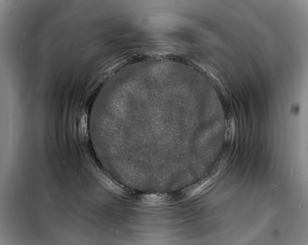 X0000098180238200805151148