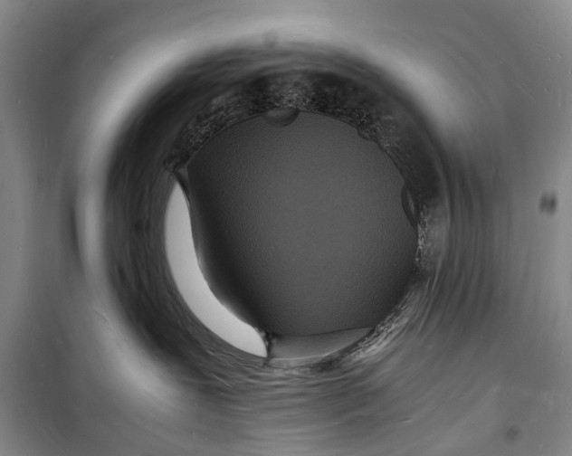 X0000098180239200805151148