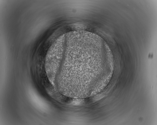 X0000098180240200805151148