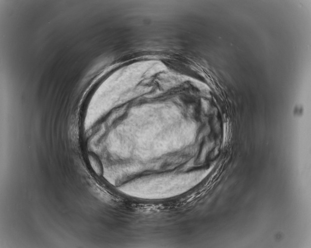 X0000098180243200805151147