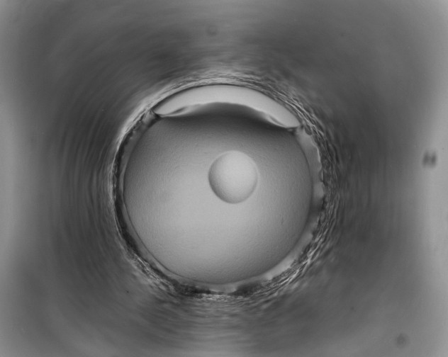 X0000098180244200805151147