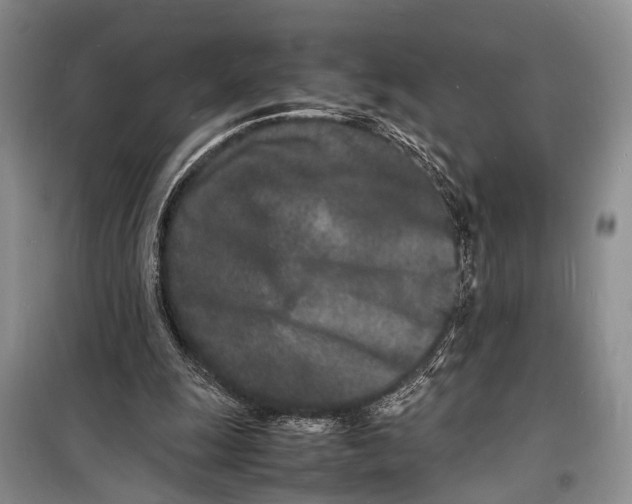 X0000098180247200805151147