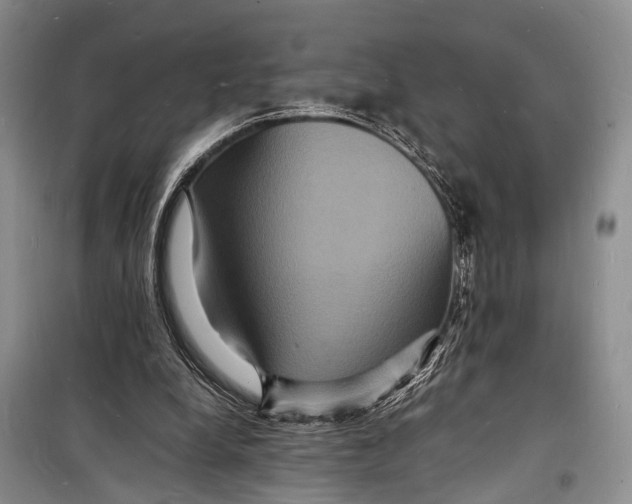 X0000098180248200805151147