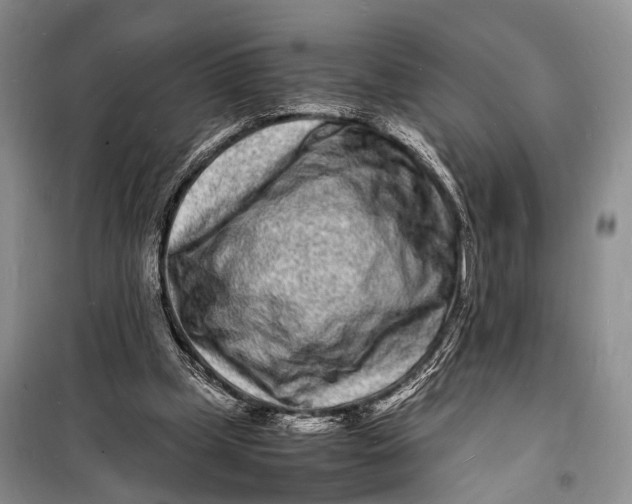 X0000098180249200805151147