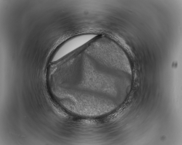 X0000098180250200805151147