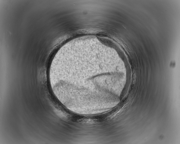 X0000098180254200805151147