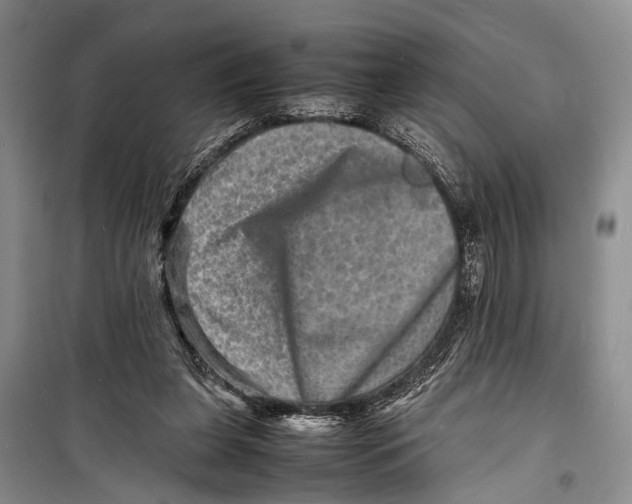 X0000098180255200805151147