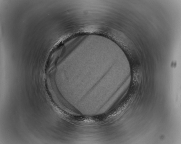 X0000098180256200805151147