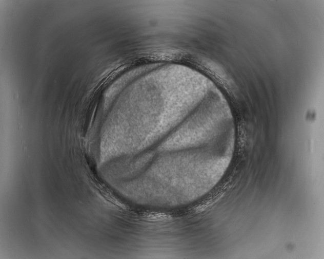 X0000098180258200805151147