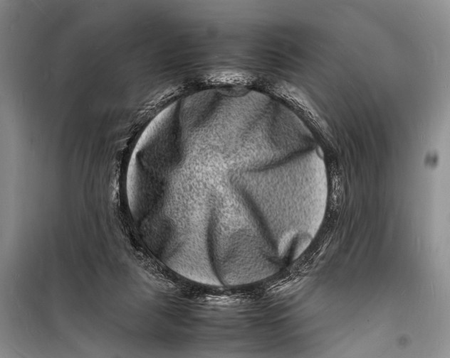 X0000098180259200805151147