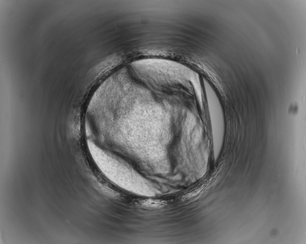 X0000098180261200805151147