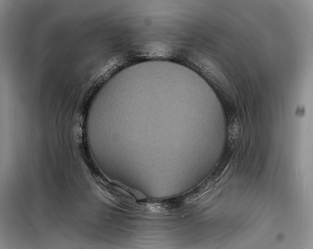 X0000098180264200805151147