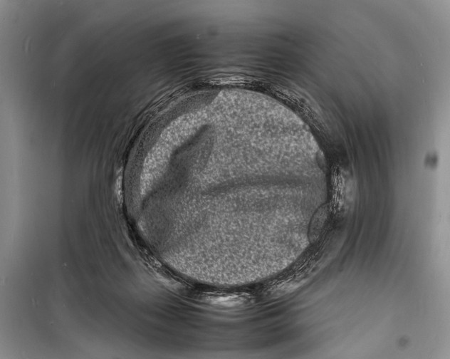 X0000098180267200805151147