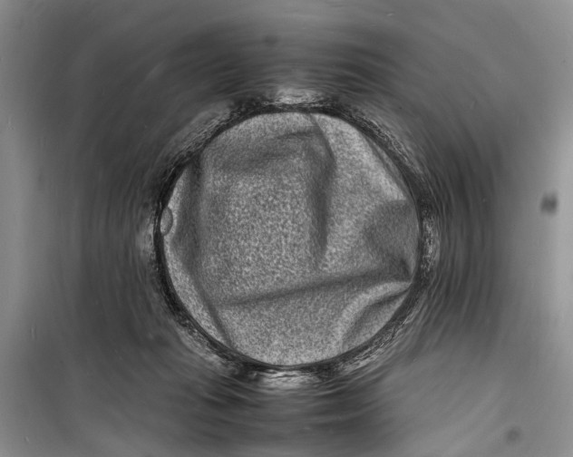 X0000098180269200805151147