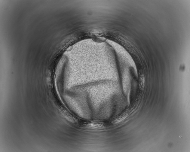 X0000098180270200805151147