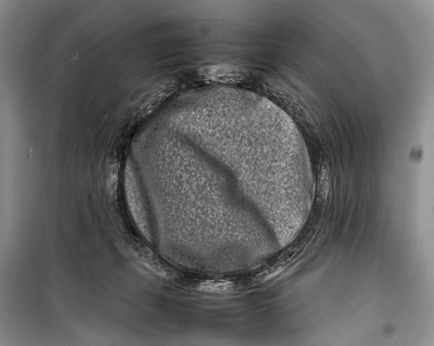 X0000098180271200805151147