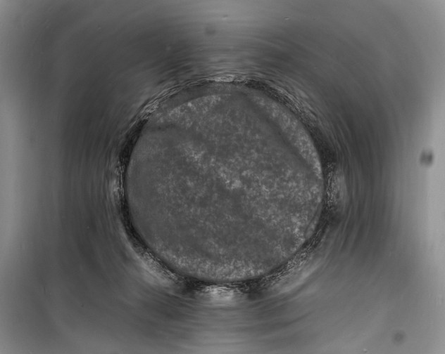 X0000098180272200805151147