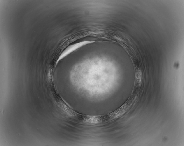 X0000098180276200805151147