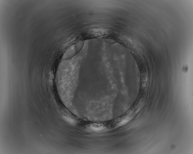 X0000098180279200805151147