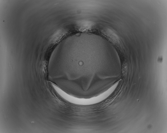 X0000098180280200805151147