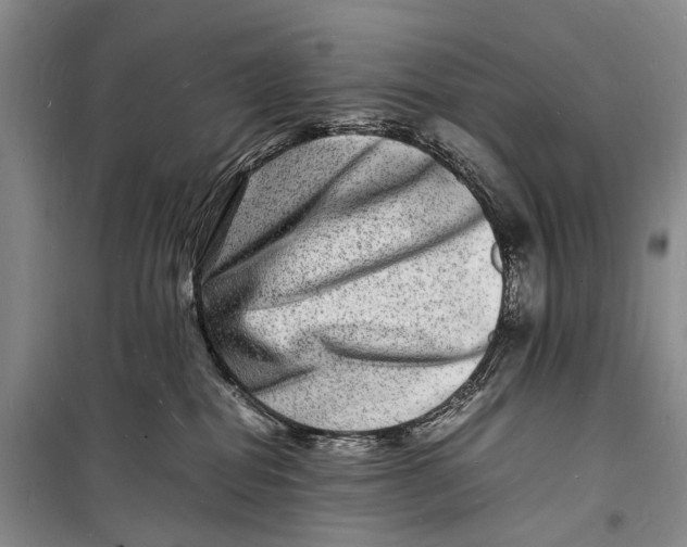 X0000098180282200805151147