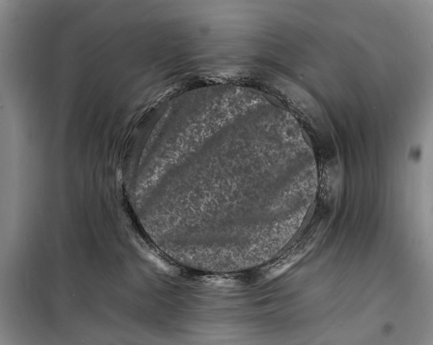 X0000098180284200805151147