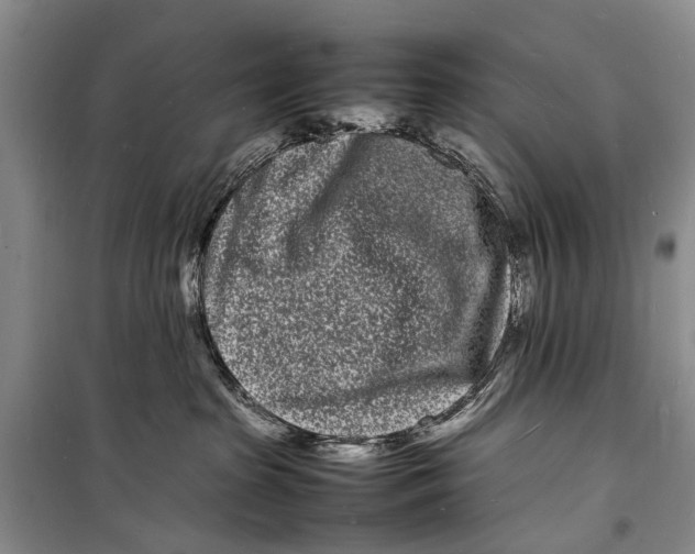 X0000098180285200805151147