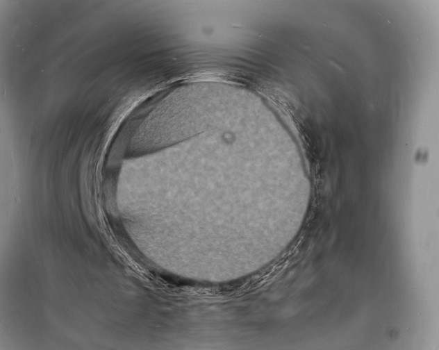 X0000098180289200805151147