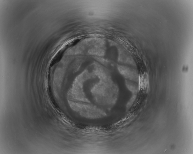 X0000098180291200805151147