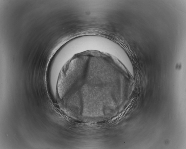 X0000098180292200805151147