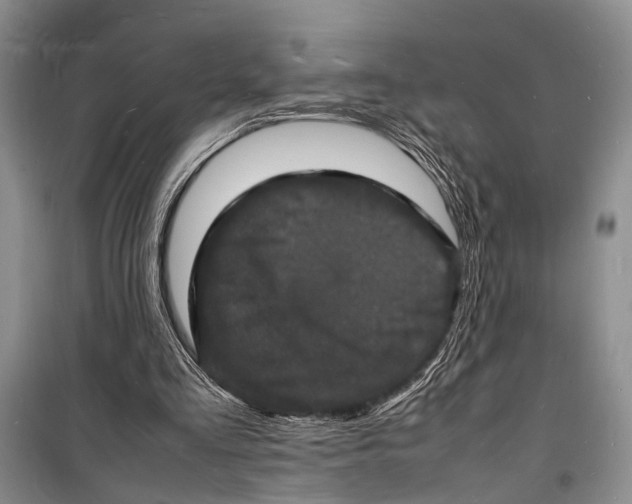 X0000098180293200805151147