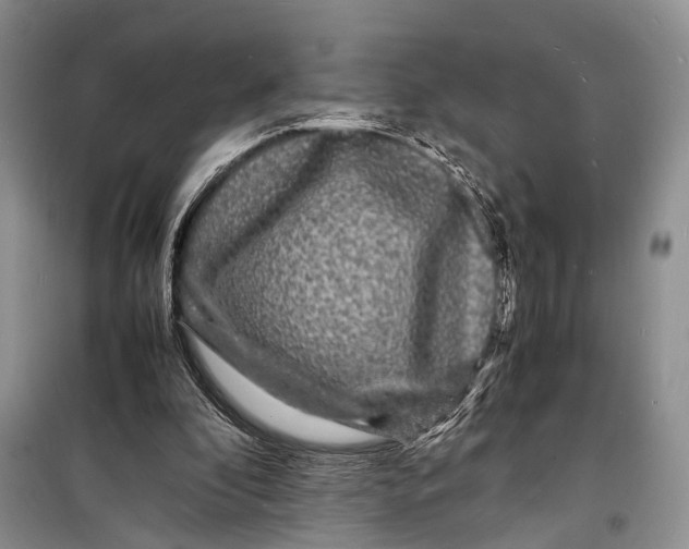 X0000098180296200805151147