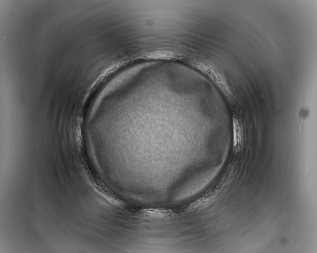 X0000098180300200805151147