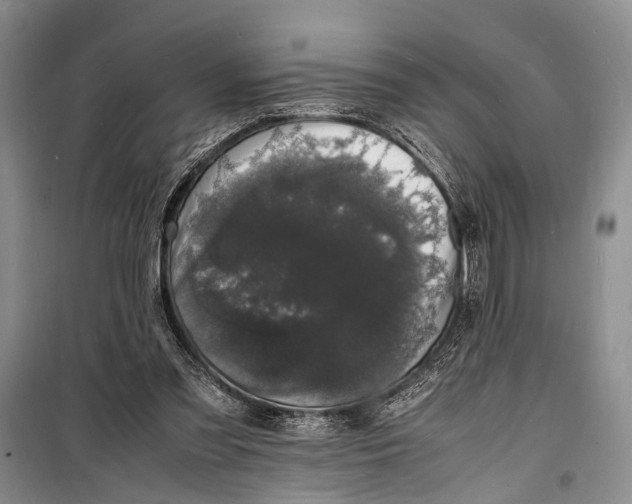 X0000098180301200805151147