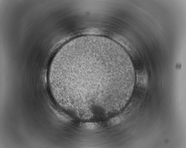 X0000098180302200805151147