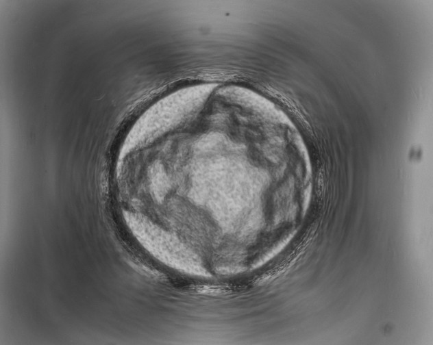 X0000098180303200805151147