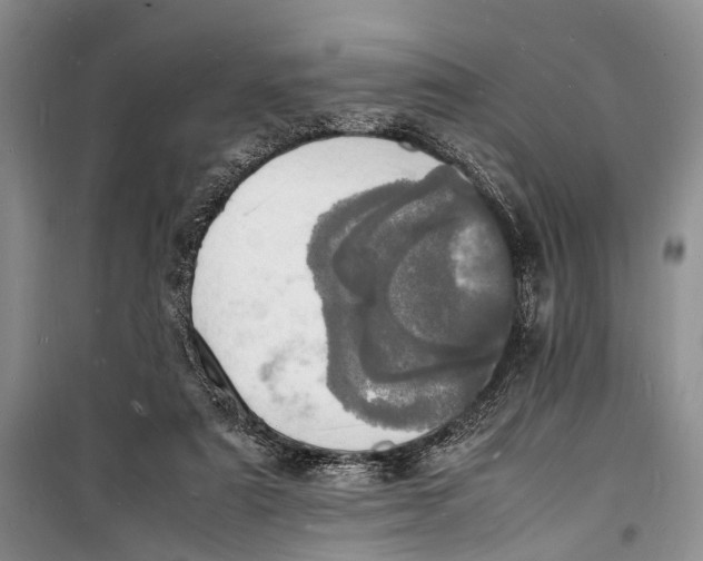 X0000098180307200805151147